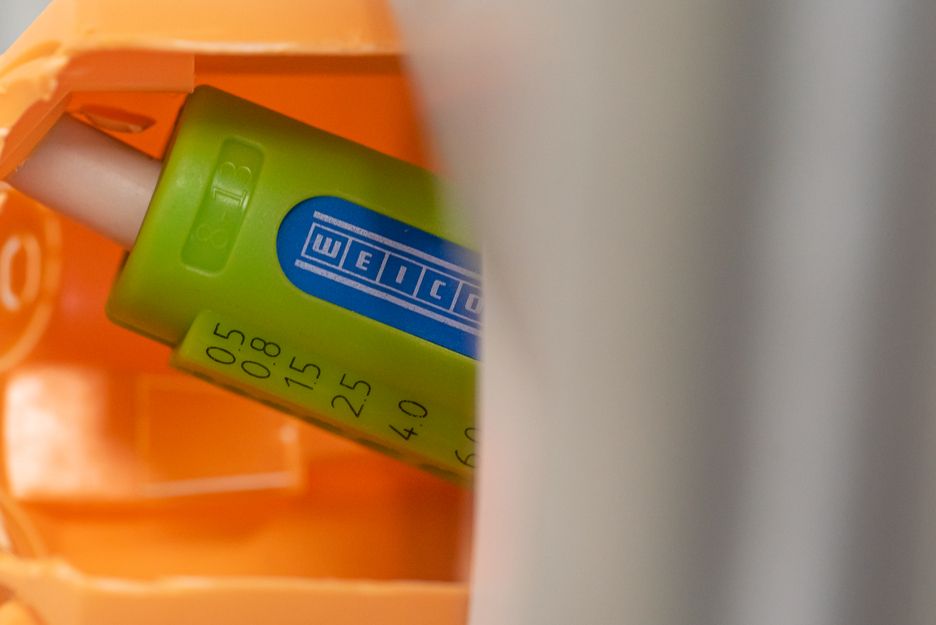 Quadro Stripper No. 16 Green Line - Slika 14